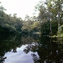 Black Creek