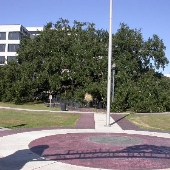 Treaty Oak Park