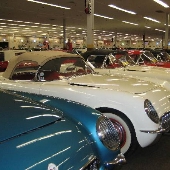 Muscle Car City