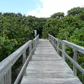 Ocean Ridge Hammock Park