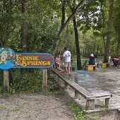 Ginnie Springs