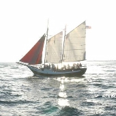 Black Beard II