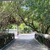 John D. Macarthur State Park