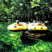 Fresh Water Springs