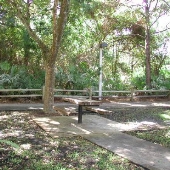 University Woodlands Park