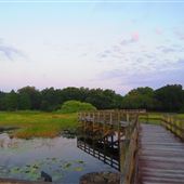 Crews Lake Wilderness Park