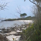 Talbot Island State Park