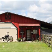 Enchanted Horse Acres