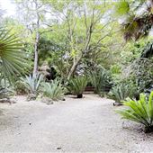 Paradise Palms Botanical & Sculpture Garden