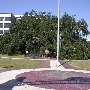 Treaty Oak Park