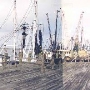 Fernandina Beach Marina
