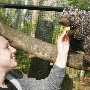 santa fe zoo