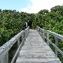 Ocean Ridge Hammock Park