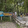 Ginnie Springs