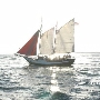 Black Beard II