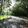 Veterans Park Boca Raton