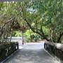 John D. Macarthur State Park