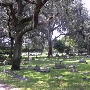 Evergreen Cemetery