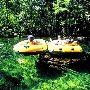 Fresh Water Springs