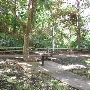 University Woodlands Park