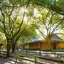 Bill Graham Farm Village