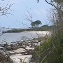 Talbot Island State Park
