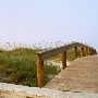 Neptune Beach House