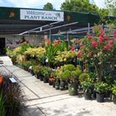 Plant Ranch Nursery