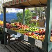 Farmer's Market