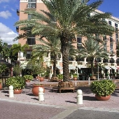 Clematis Street