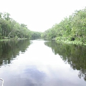 Jacksonville Waterways