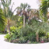 Beach House