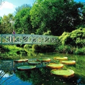 Kanapaha Botanical Gardens