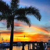 Sailfish Marina