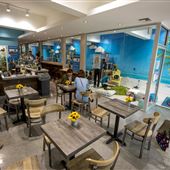 Cat Café South Beach