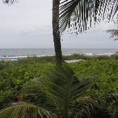 Wright by the Sea