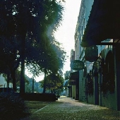 Amelia Island Coastal Town