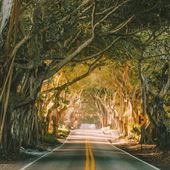 Martin Grade Scenic Highway