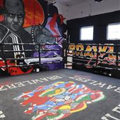 Brawlerz Box