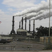 Sugar Cane Growers Cooperative