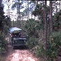 Babcock Wilderness Adventures