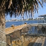 Rick's Crab Trap