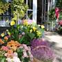 Anita's Garden Shop and Design