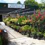 Plant Ranch Nursery