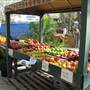Farmer's Market