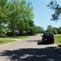 Sea Oats- Area Streets