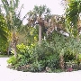 Beach House