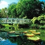 Kanapaha Botanical Gardens