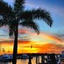 Sailfish Marina