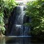 Jungle Island